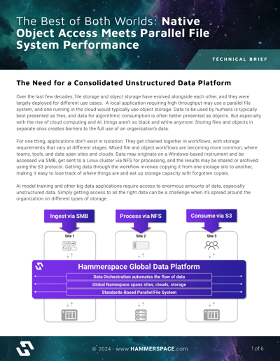 The Best of Both Worlds: Native Object Access Meets Parallel File System Performance