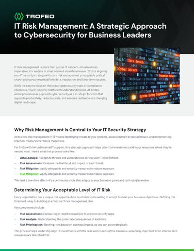 IT Risk Management: A Strategic Approach to Cybersecurity for Business Leaders