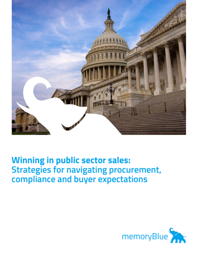 Win smarter in Public Sector sales
